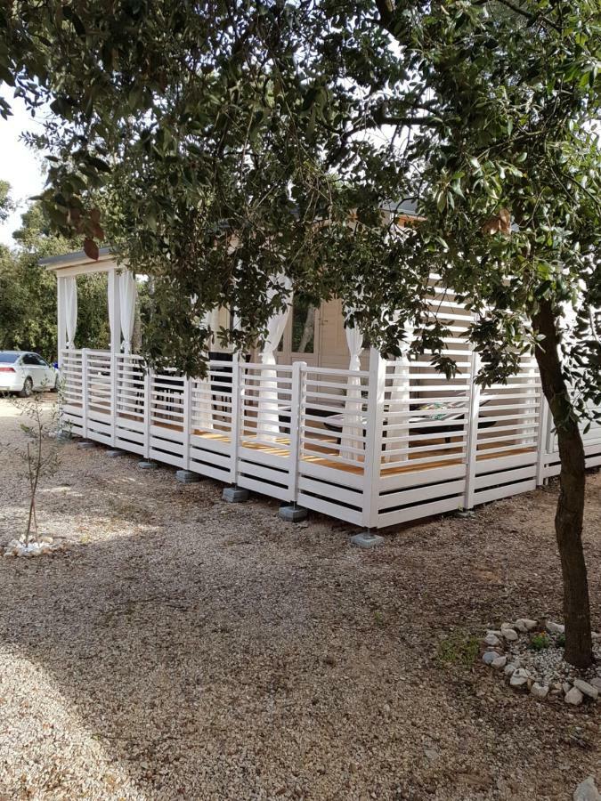 Summertime By Pearl Of The Biograd Biograd Na Moru Exterior foto